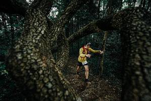 BIB: 
                            <button type="button" onclick="openModal(25686712)" class="btn btn-primary btn-sm float-right btn-popup" data-toggle="modal" data-target=".modal-high-quality">
                        <i class="fas fa-shopping-cart"></i> Add to Cart
                    </button>
                                            <button type="button" onclick="isThisMe(25686712, true)" class="btn btn-success btn-sm float-right btn-popup btn-isme hidden" data-toggle="tooltip" data-placement="bottom" title="นี่คือรูปของคุณใช่ไหม คลิกที่นี่เพื่อเอาเข้าอัลบั้ม">
                        <i class="fas fa-plus"></i> Add to album
                    </button>
                    <button type="button" onclick="isThisMe(25686712, false)" class="btn btn-warning btn-sm float-right btn-popup btn-isnotme hidden">
                        <i class="fas fa-ban"></i> Remove from album
                    </button>